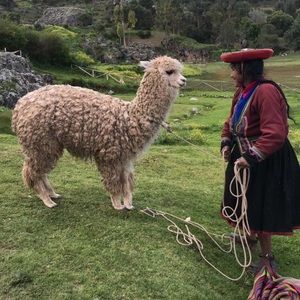 Meet your Posher, Jaime